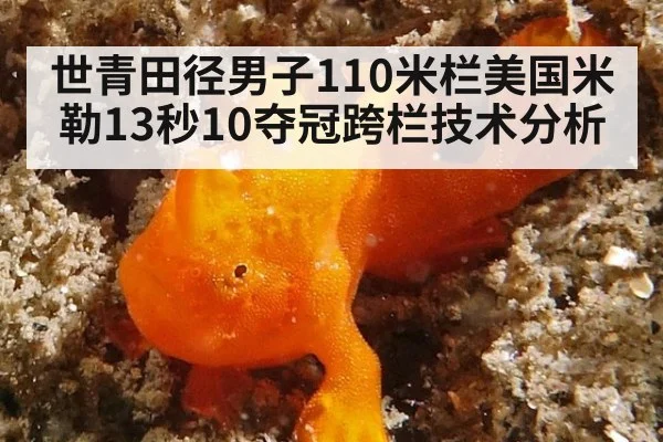 世青田径男子110米栏美国米勒13秒10夺冠跨栏技术分析