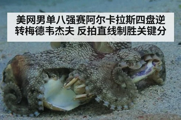 美网男单八强赛阿尔卡拉斯四盘逆转梅德韦杰夫 反拍直线制胜关键分
