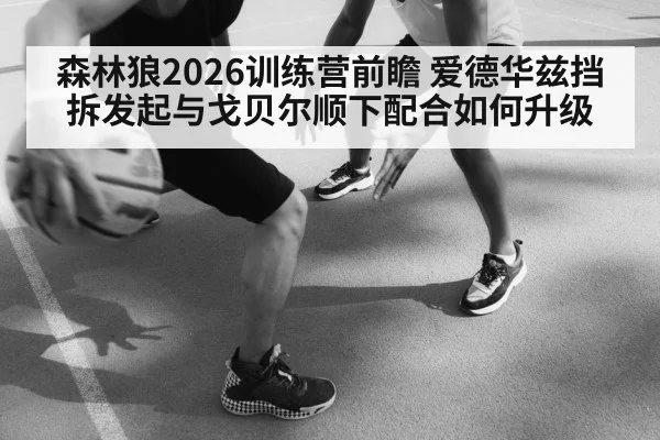 森林狼2026训练营前瞻 爱德华兹挡拆发起与戈贝尔顺下配合如何升级