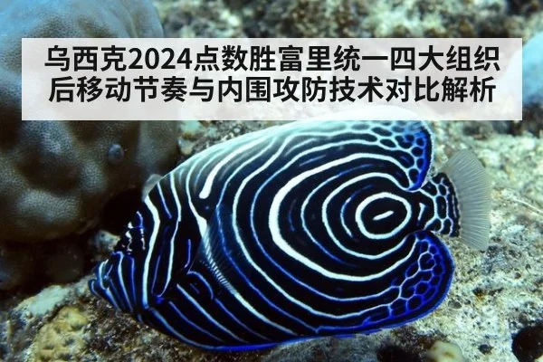 乌西克2024点数胜富里统一四大组织后移动节奏与内围攻防技术对比解析